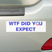WTF期待しました バンパーステッカー (車上)