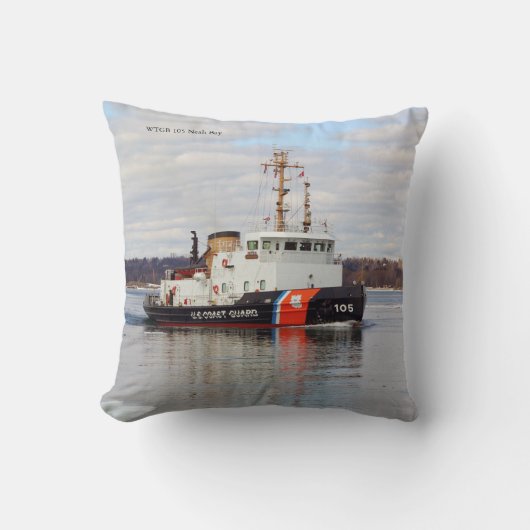 WTGB 105ニーベイ装飾用クッション クッション (正面)