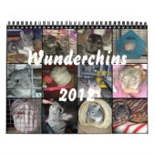 Wunderchins 2012のカレンダー カレンダー (カバー)