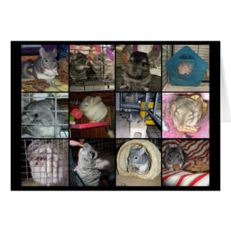 Wunderchins 2012のカード