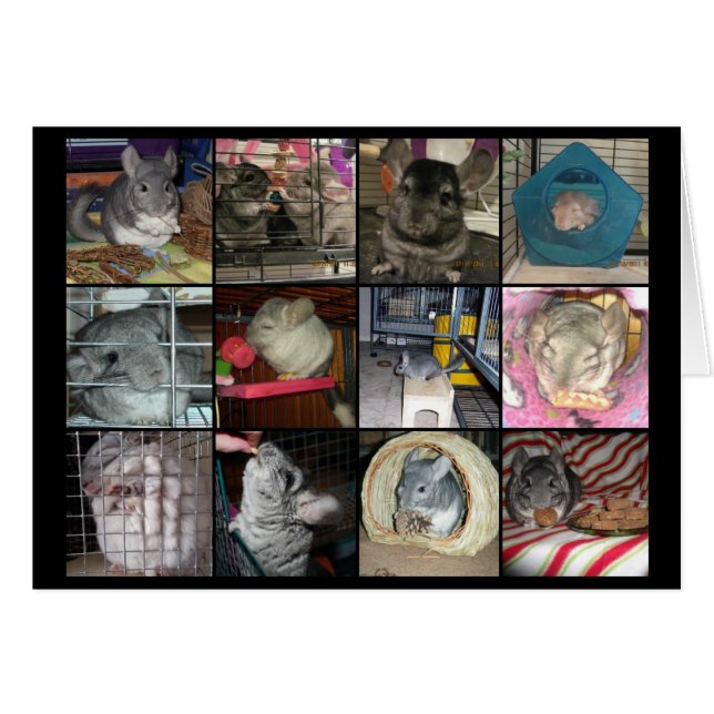 Wunderchins 2012のカード (正面横)