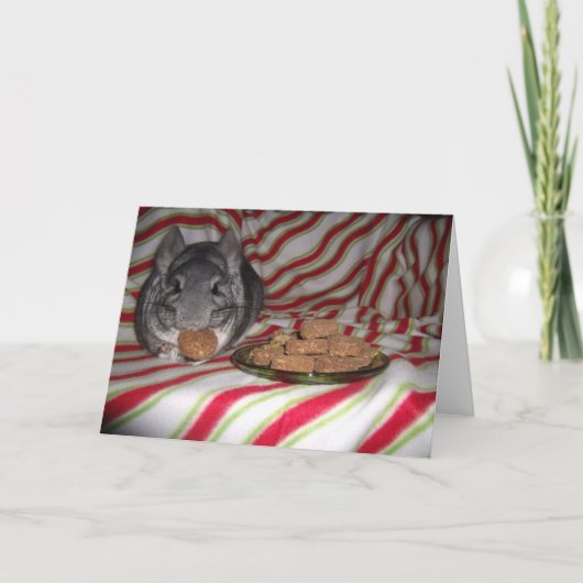 Wunderchins 2012ホリデーカード シーズンカード (正面)