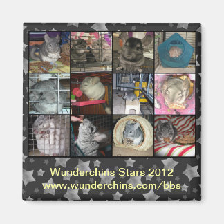 Wunderchins 2012磁石 マグネット