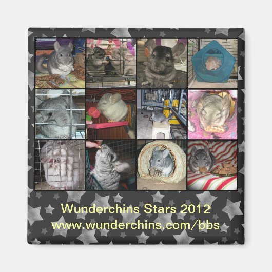 Wunderchins 2012磁石 マグネット (正面)