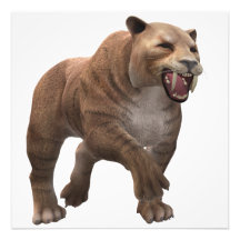 Wunderschöner Säbelzahntiger 