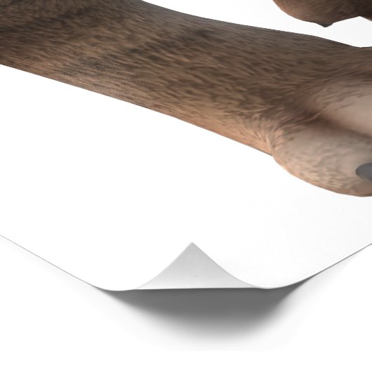 Wunderschöner Säbelzahntiger  フォトプリント (角)