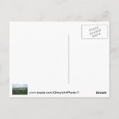 WVポストカードのモルガンタウン近くの野球場 ポストカード (裏面)