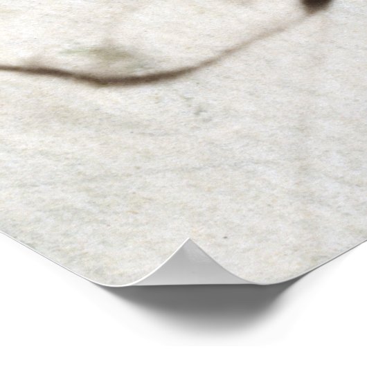 WWI Nurse knitting Sweater ポスター (角)