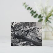 WWIIオランダスニパー ポストカード (スタンド正面)