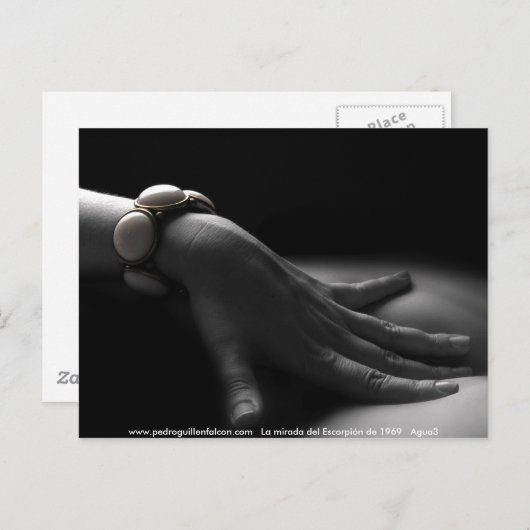 www.pedroguillenfalcon.com ポストカード (正面/裏面)