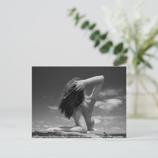 www.pedroguillenfalcon.com ポストカード (スタンド正面)
