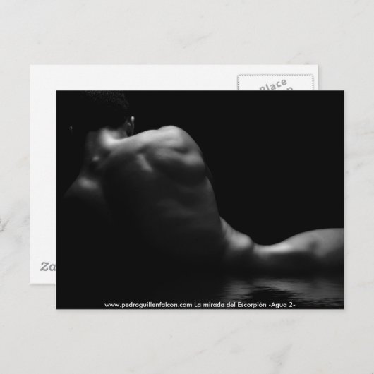 www.pedroguillenfalcon.com ポストカード (正面/裏面)
