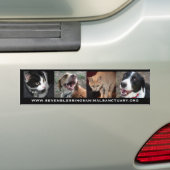 www.sevenblessingsanimalsanctuary.org バンパーステッカー (車上)