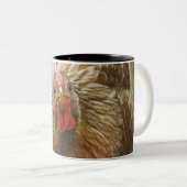 Wyandotteの金ひもで締められた雌鶏 ツートーンマグカップ (正面右)