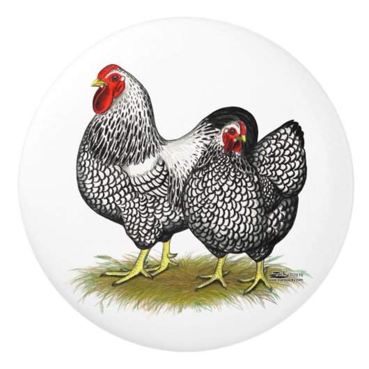 Wyandotte:  銀製の組 セラミックノブ (正面)