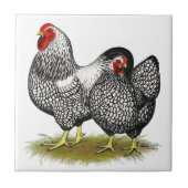 Wyandotte:  銀製の組 タイル (正面)