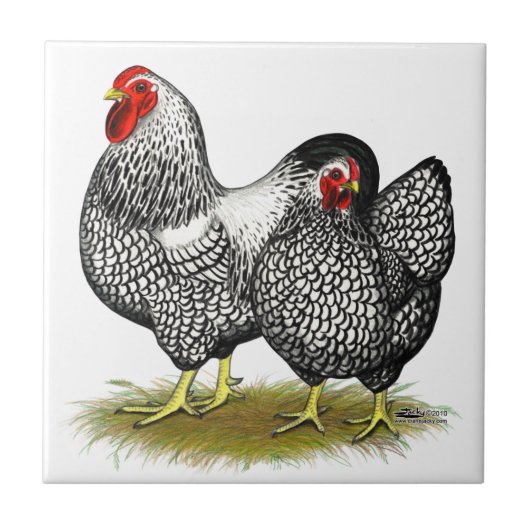 Wyandotte:  銀製の組 タイル (正面)