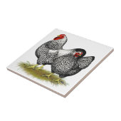 Wyandotte:  銀製の組 タイル (側面)