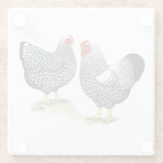 Wyandottesは組を銀ひもで締めました ガラスコースター (裏面)