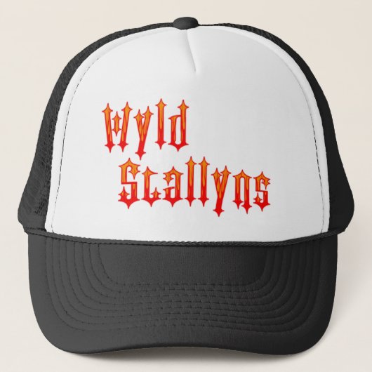 Wyld Stallyns キャップ (正面)