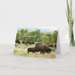 Wyoming Bison Nature Animal Photography サンキューカード