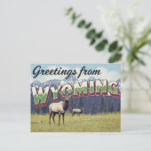Wyoming Elk Grand Teton Mountains ポストカード (スタンド正面)