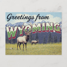Wyoming Elk Grand Teton Mountains ポストカード
