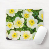 Wyoming、Sublette County、グループのクローズアップ マウスパッド (マウス)