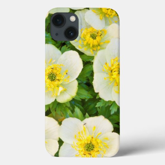 Wyoming、Sublette County、グループのクローズアップ Case-Mate iPhoneケース (裏面)