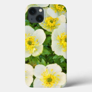 Wyoming、Sublette County、グループのクローズアップ iPhone 13ケース