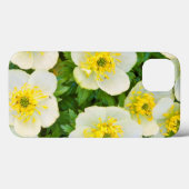Wyoming、Sublette County、グループのクローズアップ Case-Mate iPhoneケース (裏面 (横))