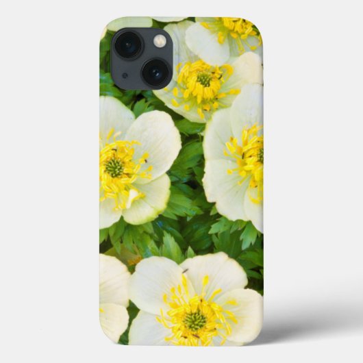 Wyoming、Sublette County、グループのクローズアップ Case-Mate iPhoneケース (裏面)