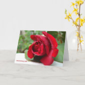 Xグリーティングカードテンプレート カード (黄色い花)