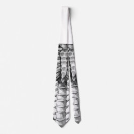 X線のタイ ネクタイ