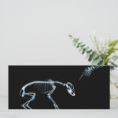 X線の骨格が青い悪い犬の招待状 招待状 (スタンド正面)