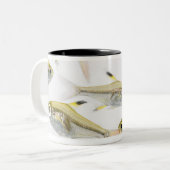 X線のtetra魚(Pristellaの学校 ツートーンマグカップ (正面左)