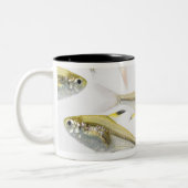 X線のtetra魚(Pristellaの学校 ツートーンマグカップ (左)