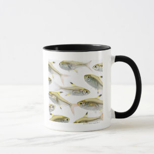 X線のtetra魚(Pristellaの学校 マグカップ