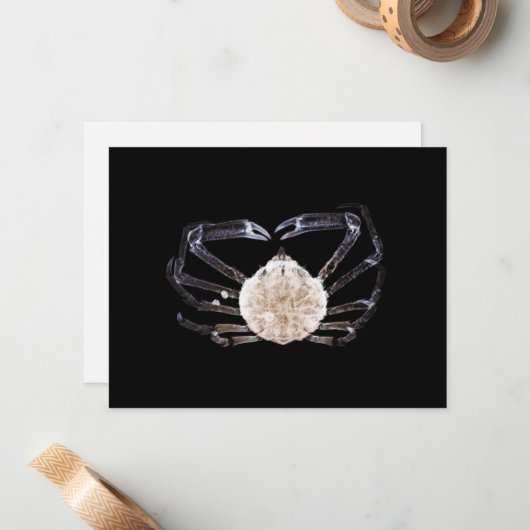 X線カニ ノートカード (正面/裏面インサイチュ)