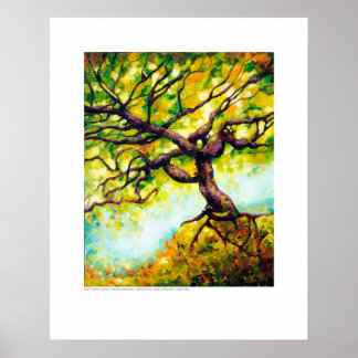 X線カバーアート – Golden Chole Maple by L. Rainey ポスター