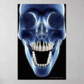 X線スタイルの人間の歯を見る ポスター (正面)