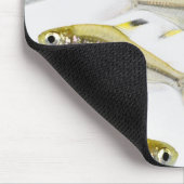 X線テトラ魚学群（プリステラ） マウスパッド (コーナー)