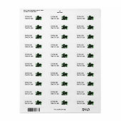 X線ビジョンカメラ – 緑 ラベル (フルシート)