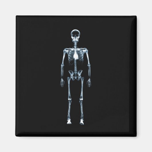 X線ビジョンブルー独身のスケルトン マグネット (正面)