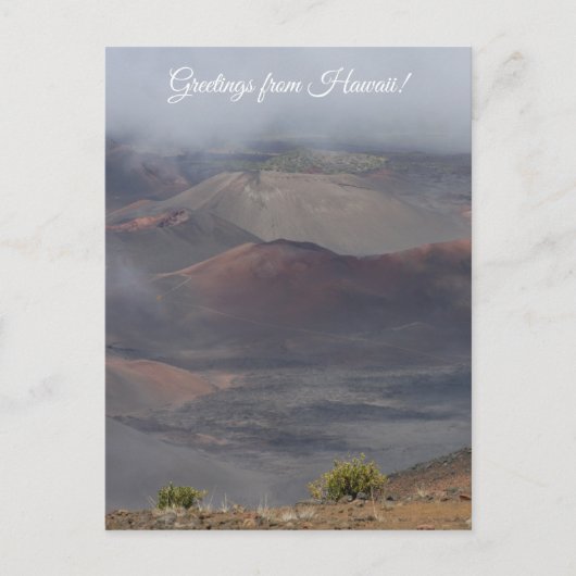 X.旅程：太陽の家 ポストカード (正面)