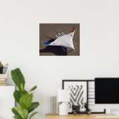 X-48Bブレンドウイング体無人航空機4 ポスター (ホームオフィス)