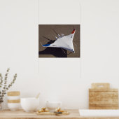 X-48Bブレンドウイング体無人航空機4 ポスター (キッチン)