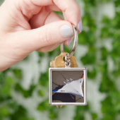 X-48Bブレンドウイング体無人航空機 キーホルダー (手)