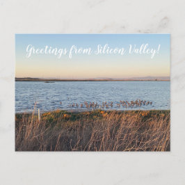 X.ITERARIES：シリコンバレーからの挨拶！投稿 ポストカード