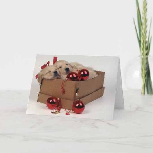 x-masのつまらないものを持つかわいいラブラドールの子犬 シーズンカード (正面)